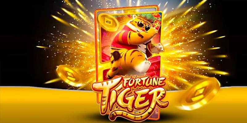 Quem é o Fortune Tiger 7755betbet.Com